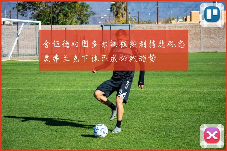 舍伍德对图多尔执教热刺持悲观态度弗兰克下课已成必然趋势