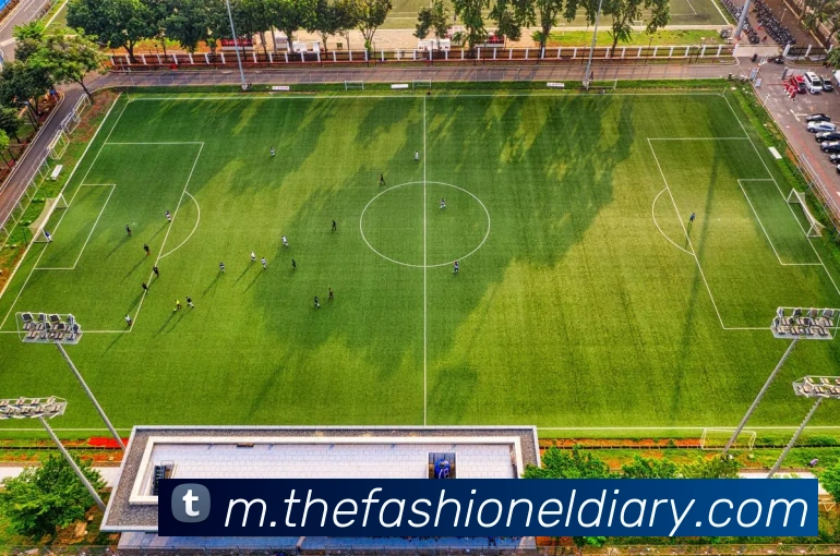 多媒体互动体验